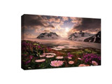 ​5 tips to make your landscape photos more attractive