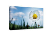 ​5 ways to take great photos