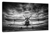 ​8 tips for how to shoot black and white photos