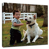 ​A comprehensive explanation of children's photography techniques