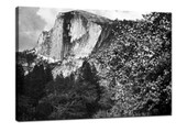 Grasp the visual center of black and white photography