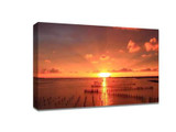 Make good use of the sun when shooting scenery
