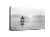 Shoot appealing black and white photos