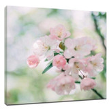 Take a nice still life photo