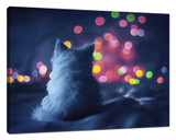 Take beautiful Bokeh photos