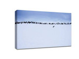 minimalist landscape photography