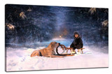 ​How to take warm photos
