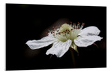 Mastering Manual Focusing Skills