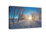 ​Practical winter snow shooting skills