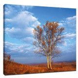 ​Three tips to capture the flavor of autumn