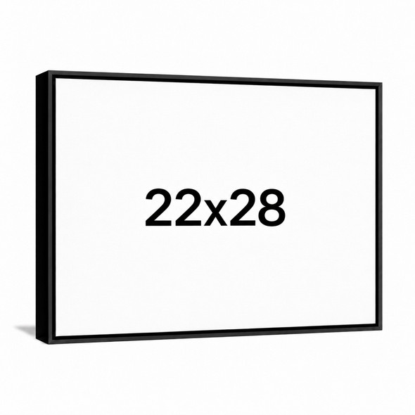 22x28 Floater Frame