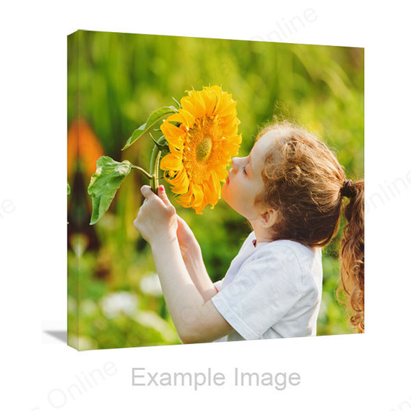 48x48 canvas print