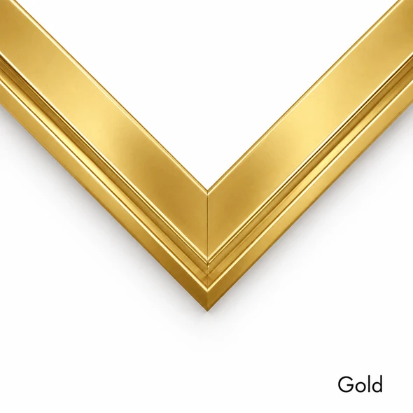 gold floater frame
