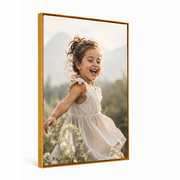 Aluminium Floating Frame Canvas Prints