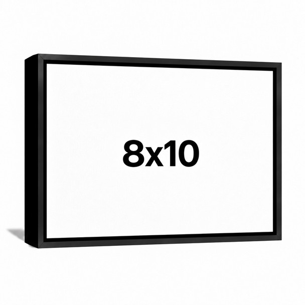 8x10 Floating Frame