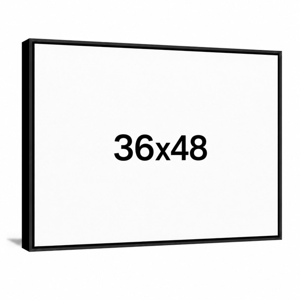 36x48 Floating Frame