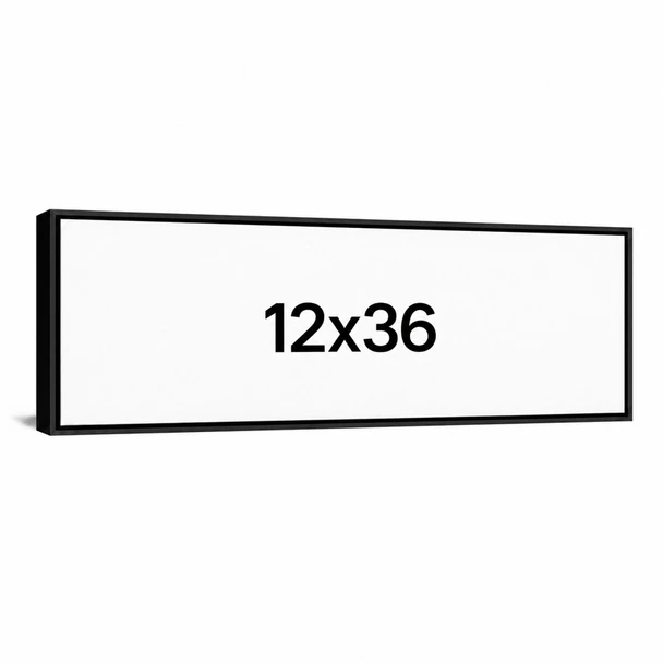 12x36 Floating Frame