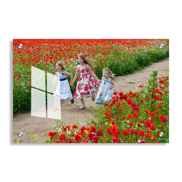 acrylic printed pictures