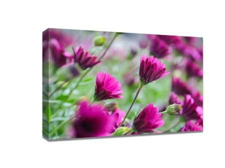 15 flower photography tips - Custom Canvas Online