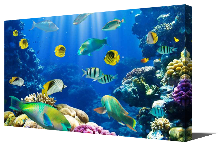 Package your scenery into canvas wall art print Custom Canvas Online