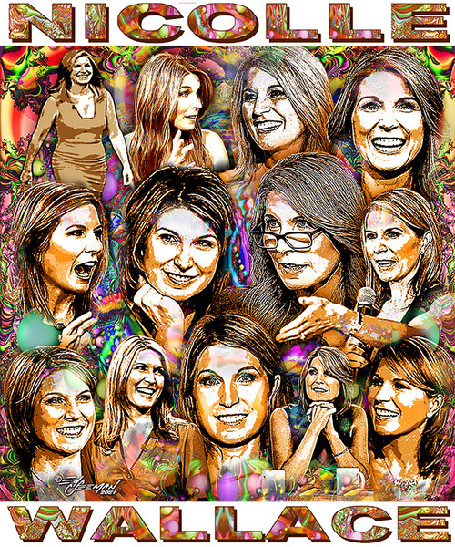 Nicolle Wallace Tribute T-shirt or Poster by Ed Seeman