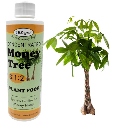 EZ-GRO Money Tree Fertilizer 3-1-2 – Liquid Plant Food for Indoor Plants and Foliage, 8 oz Bottle