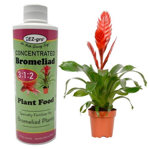 EZ-GRO Bromeliad Fertilizer 3-1-2 – Concentrated Indoor Plant Food for Healthy Bromeliads