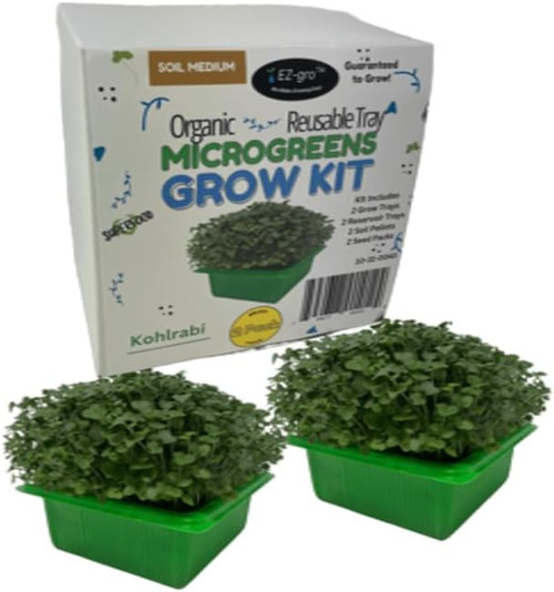 EZ-GRO Kohlrabi Microgreens Kit - Includes two green grow trays filled with fresh kohlrabi microgreens and product packaging box