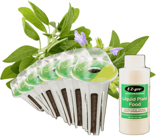 EZ-gro Culinary Sage hydroponic seed 9-pod kit with non-GMO, pre-seeded OASIS Substrates sponges for fresh sage growth.