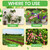 EZ-GRO 20-20-20 All Purpose Fertilizer 'Where to Use' guide, showing indoor plants, outdoor gardens, farms, and tropical fruits.