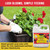 EZ-GRO Geranium Fertilizer – Lush Blooms with Simple Feeding.