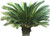 EZ-GRO Palm Fertilizer 17-5-24 – Ideal for Healthy, Vibrant Indoor and Outdoor Palm Trees