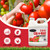 EZ-GRO Cal-N-Mag 2-0-0 – pH Optimized, Easy-to-Use Liquid Fertilizer for Weekly Feeding