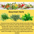 Gourmet Herbs Pod Kit — elevate every dish and bring big flavor to your kitchen.