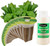 EZ-GRO Gourmet Herb Seed 12 Pod Kit for Hydroponic Growing Systems