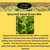 Pre-seeded gourmet salad Salad green mix pod hydroponic kit with EZ-GRO Oasis sponge pods.