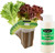 EZ-GRO Salad Green Mix Seed 6 Pod Kit for indoor Hydroponic Growing Systems