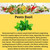 Pre-seeded Pesto Basil pod hydroponic kit with EZ-GRO Oasis sponge pods.