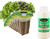 EZ-GRO International Basil Seed 6 Pod Kit for indoor Hydroponic Growing Systems