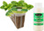 EZ-GRO Fresh Tea 3 Pod Kit for indoor Hydroponic Growing Systems