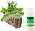EZ-GRO Fresh Tea 6 Pod Kit for indoor Hydroponic Growing Systems