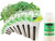 EZ-gro Fresh Tea Seed Pod Kit (12 Pod) with Pre-Seeded Hydroponic Pods and 4 oz Liquid Nutrients for Indoor Garden Systems