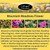 Pre-seeded Mountain Meadows Flower pod hydroponic kit with EZ-GRO Oasis sponge pods.