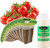 EZ-GRO Red Robin Cherry Tomato Seed Pod Kit (12 Pod) – Non-GMO Pre-Seeded Pods with Liquid Nutrients for Aerogarden & Hydroponics