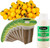 EZ-GRO 9-Pod Yellow Canary Cherry Tomato Kit with Pre-Seeded Pods and 4 oz Hydroponic Nutrients for Indoor Garden Systems