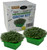 EZ-gro Broccoli Self Watering Microgreens Kit – Includes 5x5 Grow Trays, Soil Pellets, Seed Packs, and Wicks
