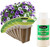 EZ-GRO Cascading Petunia Pre-Seeded Hydroponic Seed 6-Pod Kit with OASIS Substrates sponges for vibrant pink, purple, and white blooms.