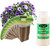 EZ-GRO Cascading Petunia Pre-Seeded Hydroponic Seed 9-Pod Kit with OASIS Substrates sponges for vibrant pink, purple, and white blooms.