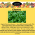 EZ-GRO Organic Slow Bolt Cilantro seed pod kit with non-GMO heirloom seeds for fresh, slow-bolting cilantro in hydroponic systems.