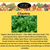 EZ-gro Organic Slow Bolt Cilantro seed 6-pod kit with non-GMO heirloom seeds for fresh, slow-bolting cilantro in hydroponic systems.
